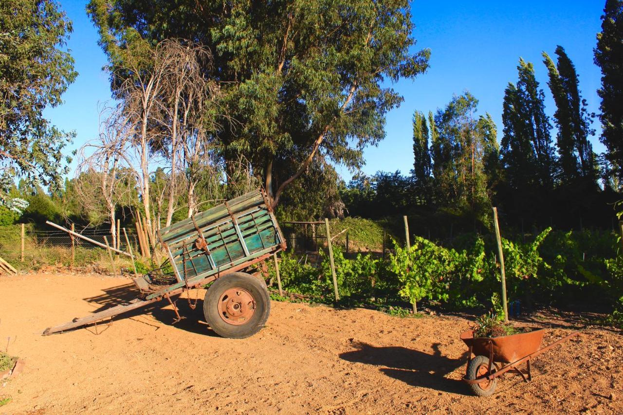 Hotel Boutique Raices De Colchagua Santa Cruz Eksteriør bilde