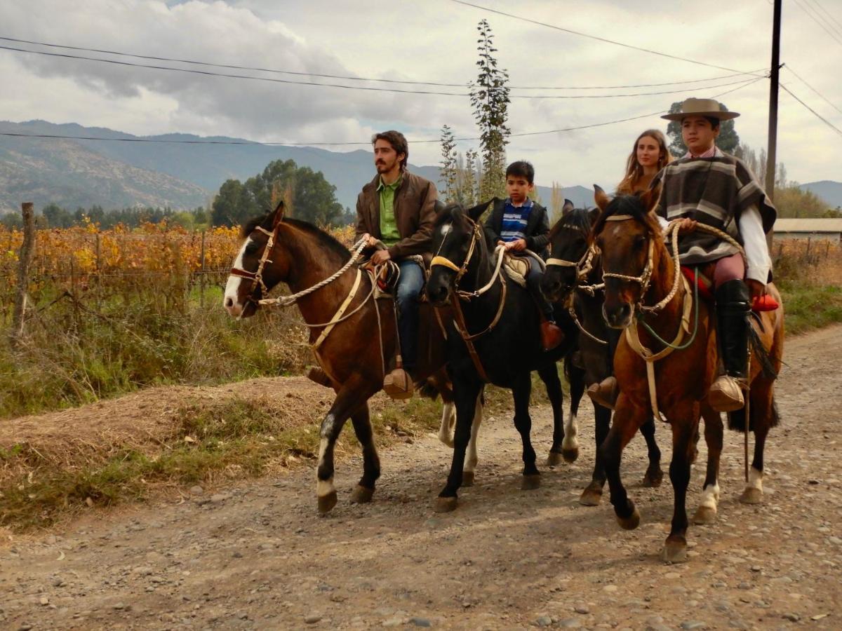 Hotel Boutique Raices De Colchagua Santa Cruz Eksteriør bilde