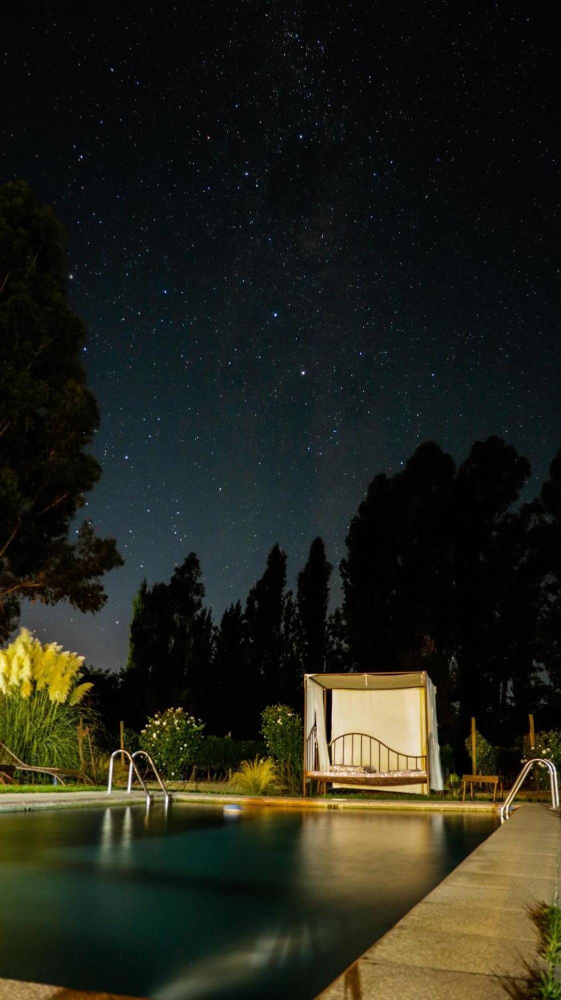 Hotel Boutique Raices De Colchagua Santa Cruz Eksteriør bilde