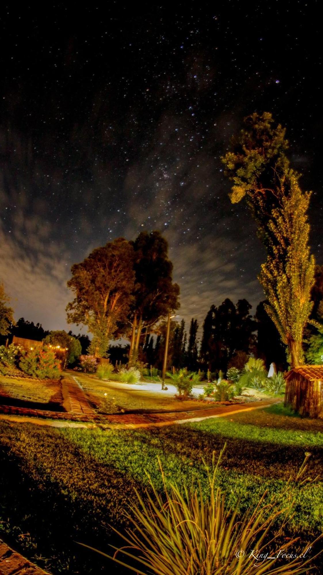 Hotel Boutique Raices De Colchagua Santa Cruz Eksteriør bilde